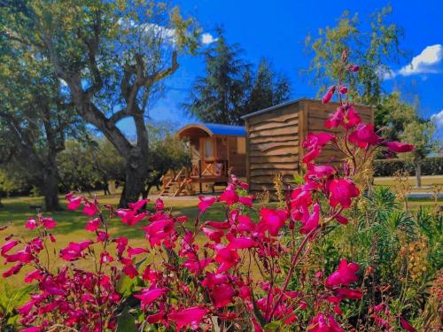 Roulotte authentique avec piscine chauffée et petit déjeuner inclus FR 1 591 619 in Faverolles-Sur-Cher, France