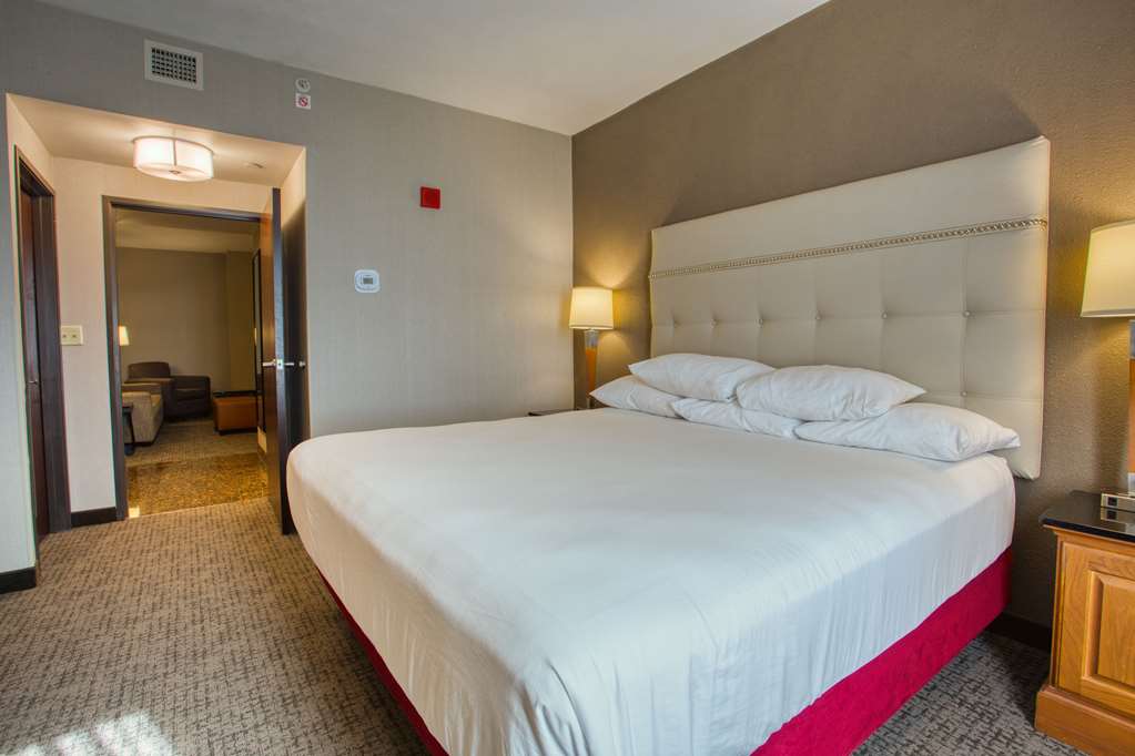 Drury Inn & Suites Near La Cantera Parkway - photo 27