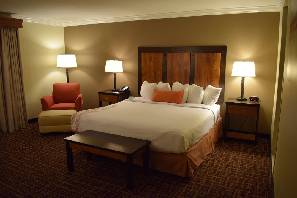 Best Western Wichita North Hotel and Suites - photo 13