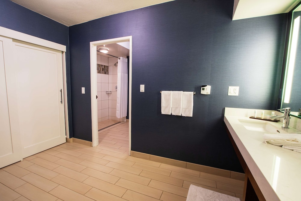 Embassy Suites by Hilton Scottsdale Resort - photo 19