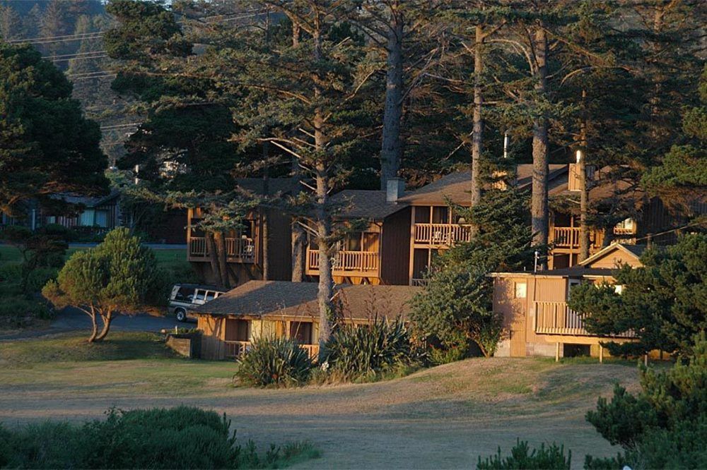 Ireland's Rustic Lodges - photo 15