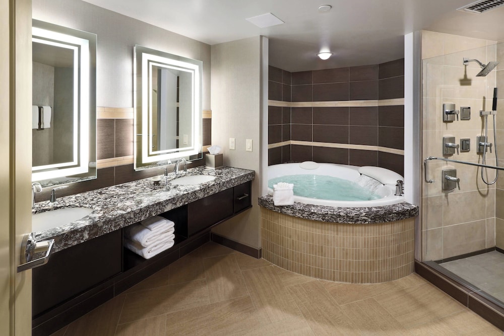 South Sioux City Marriott Riverfront - photo 31