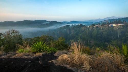 Tranquil Nest - last minute hotel in Kodaikanal