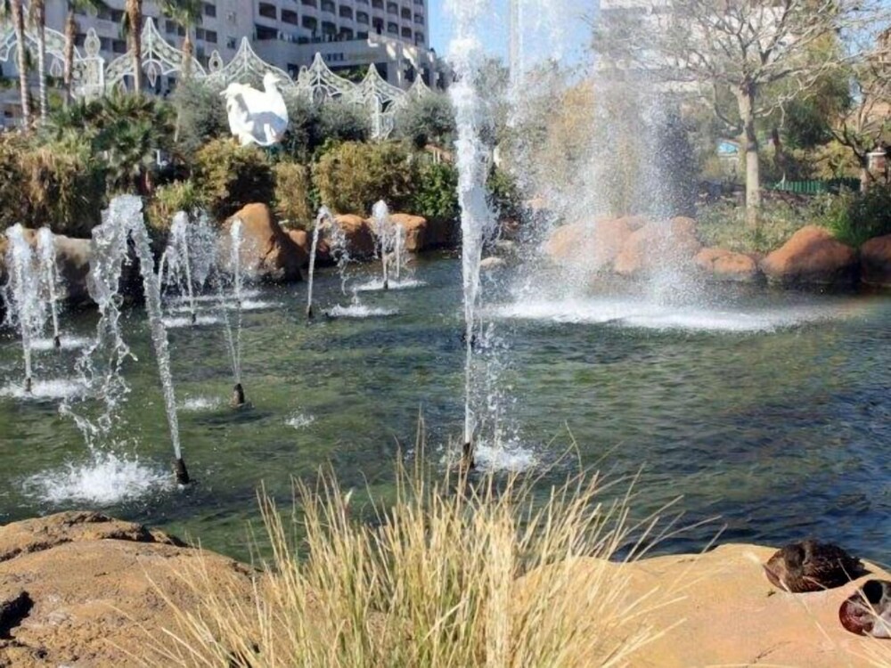 Acv Vistamar Ii 1ª Linea Planta 7 Sur in Oropesa Del Mar, Spain