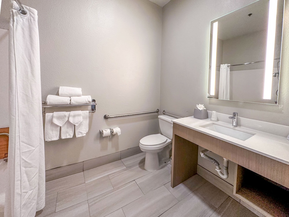 Holiday Inn Express Hotel & Suites Ennis by IHG - photo 12