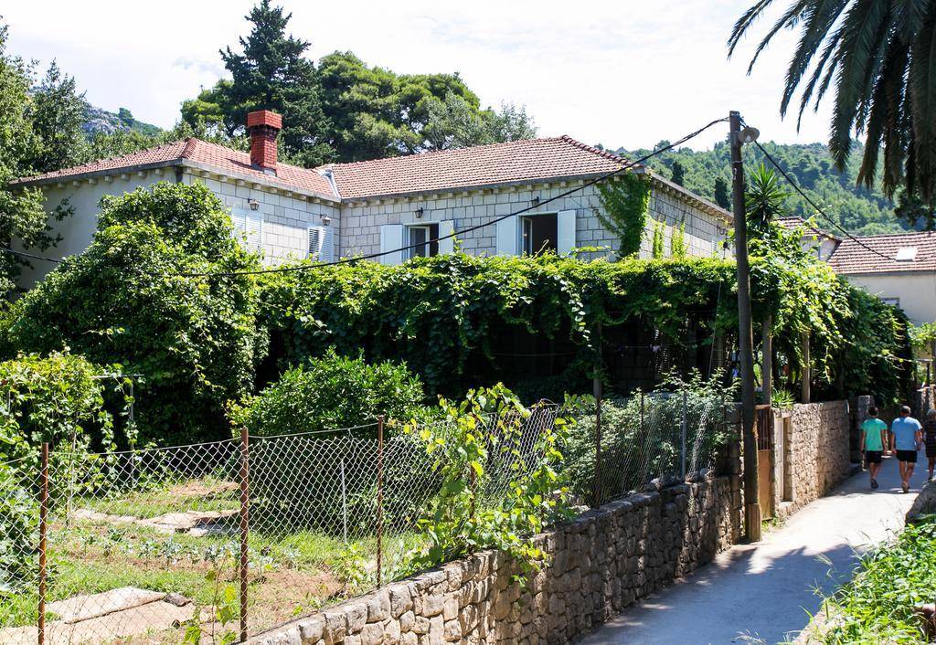 Guest House Zec