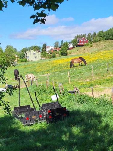 Private pearl in downtown Røros in Roros, Norway