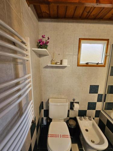 Brillos Patagónicos in El Calafate, Argentina