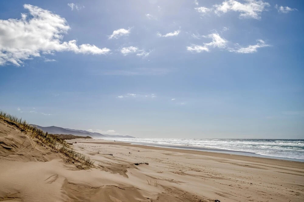 Beachcombers Paradise - photo 9
