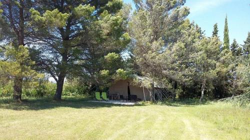 Acacia - last minute hotel in Mazan
