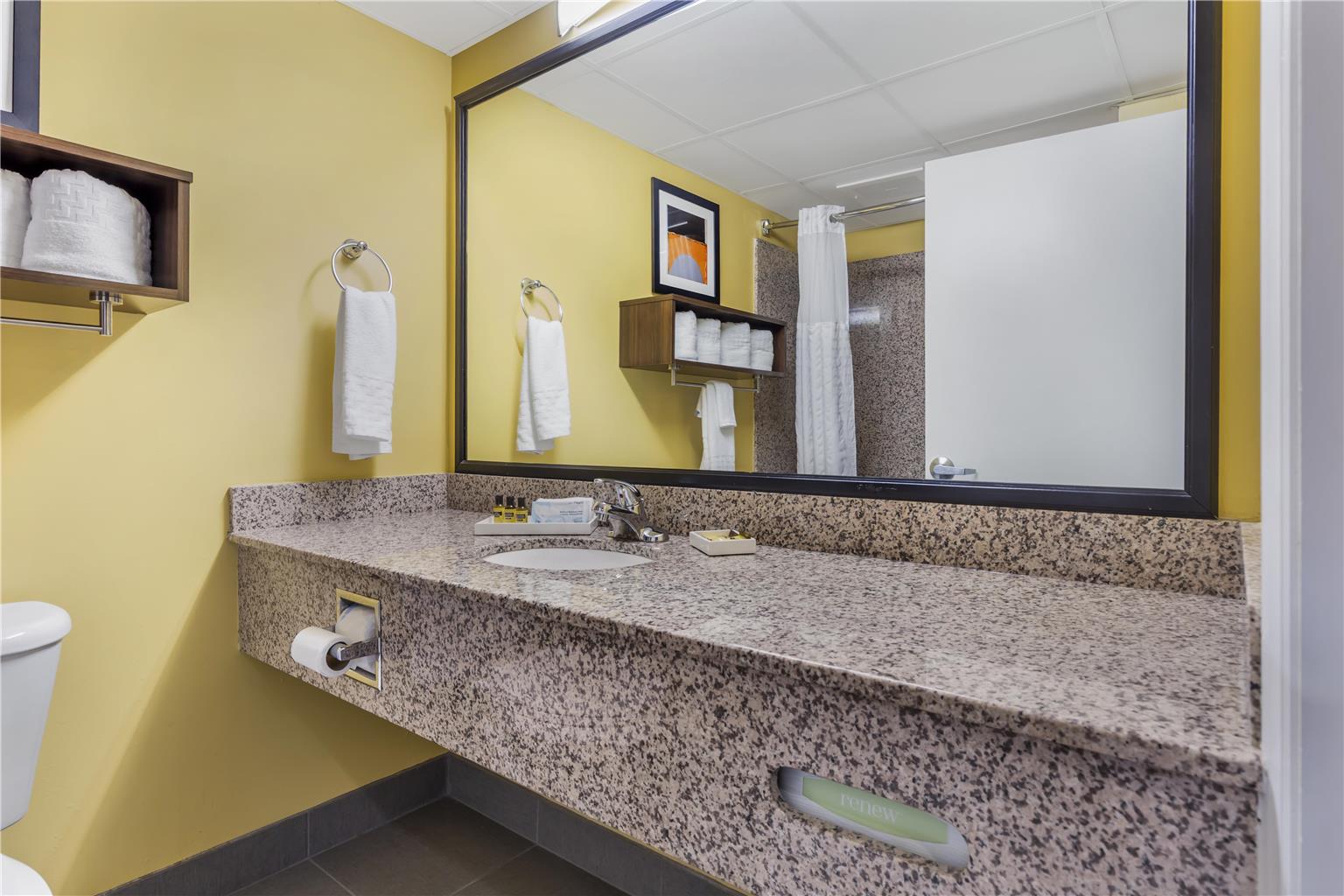 Best Western Plus Suites Greenville - photo 21