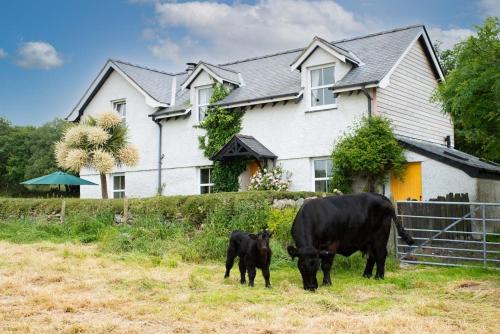 Perthi Uchaf - carbon neutral hotel in Unknown City