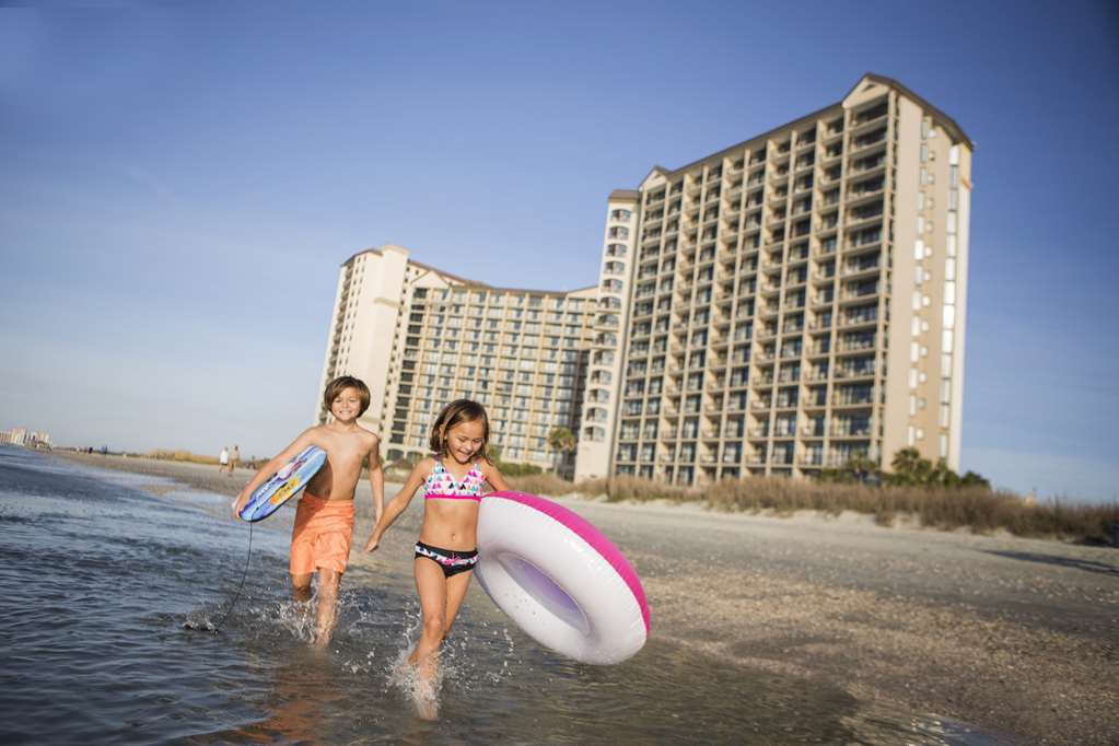 Beach Cove Resort - photo 16