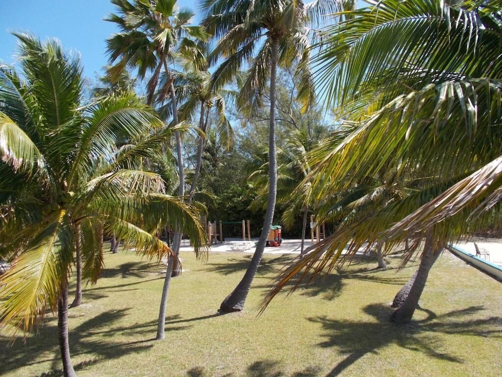 Matecumbe Resort - photo 37