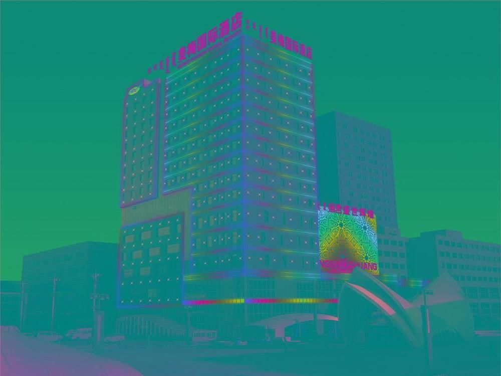 Meimei International Hotel — Dongsheng