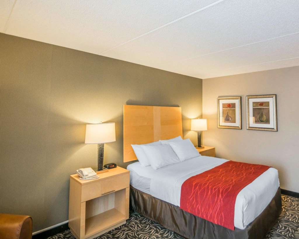 Comfort Inn NYS Fairgrounds - photo 22