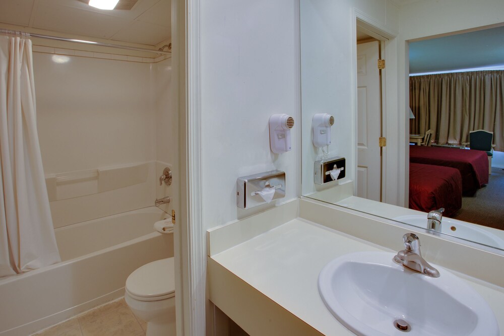 Vienna Wolf Trap Hotel - photo 12
