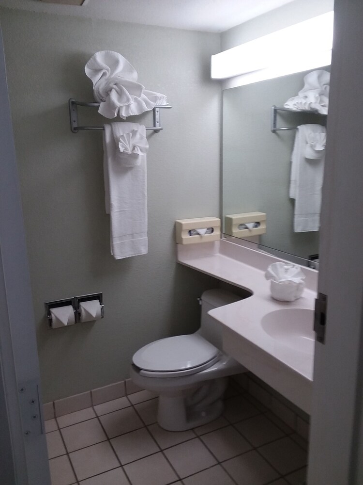 Vista Inn Lake Tarpon - photo 35
