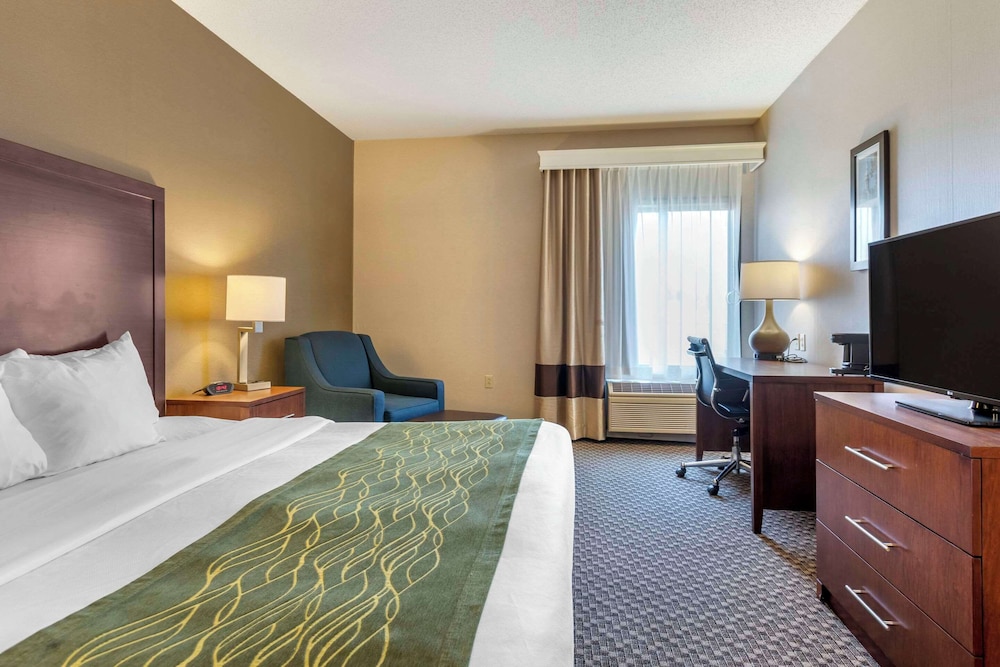 Comfort Inn Charlotte - photo 5