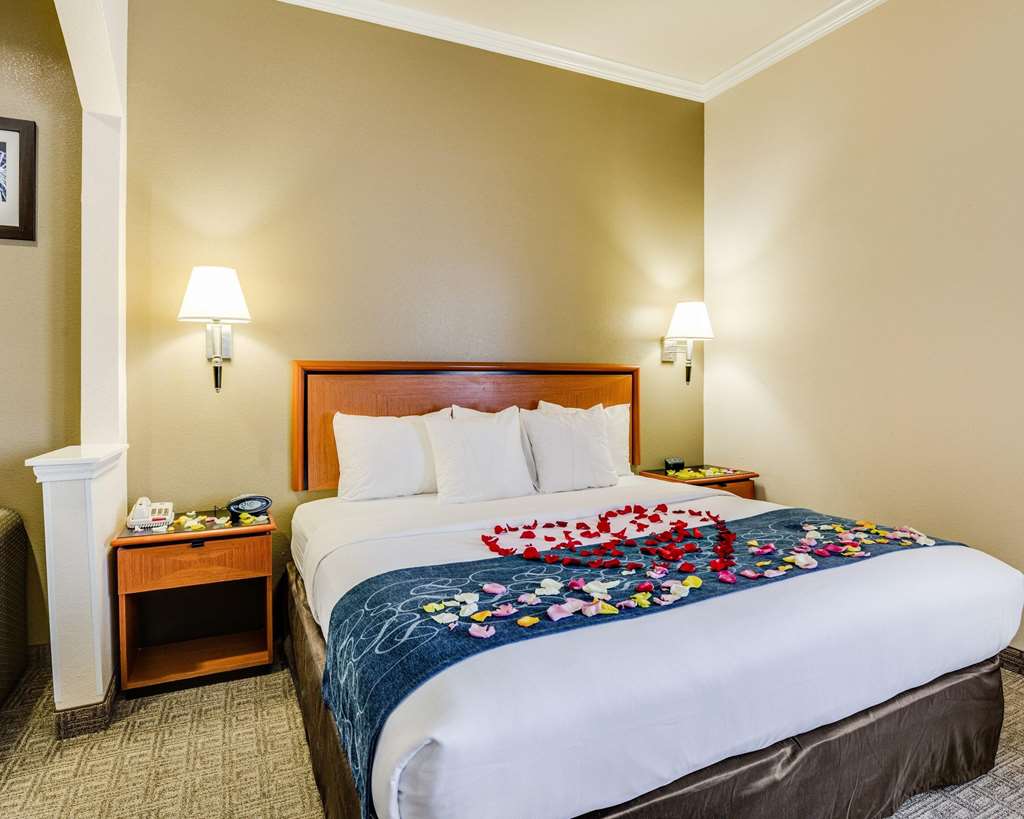 Comfort Suites Deer Park Pasadena - photo 33