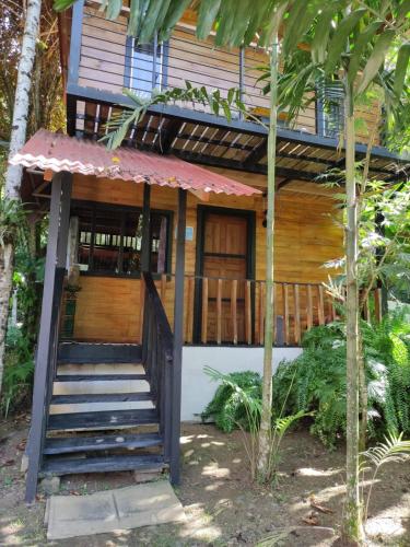 Papaya Wildlife Lodge — 4-Star Luxury Hotel in Limon, Costa Rica