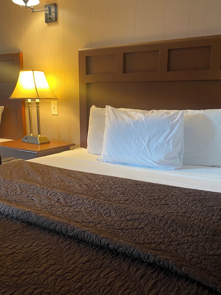 Barberry Court Motel - photo 10