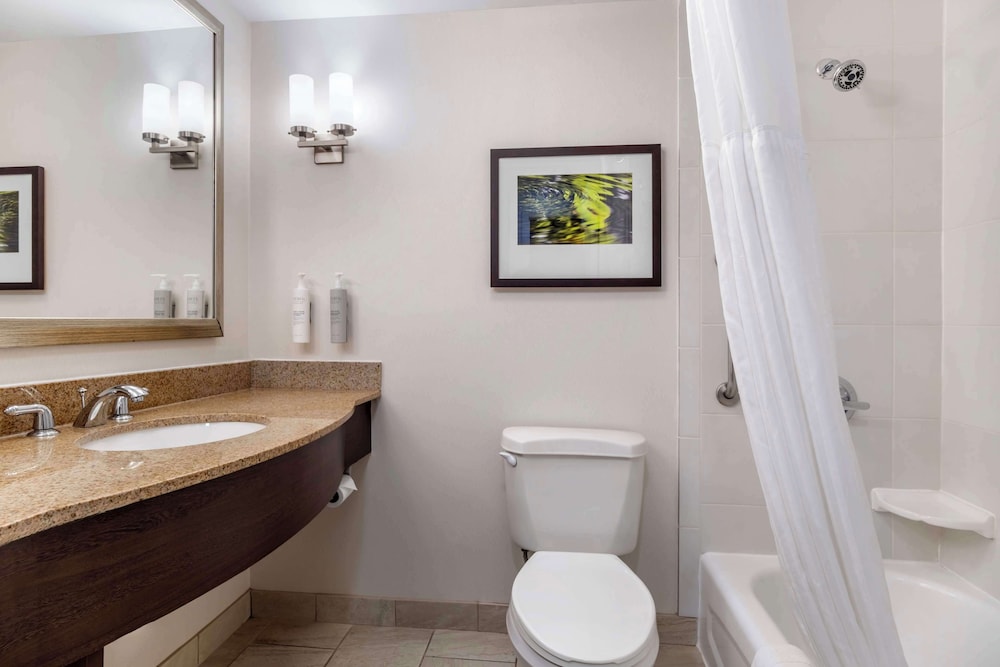 Hilton Garden Inn Lexington Hamburg - photo 18
