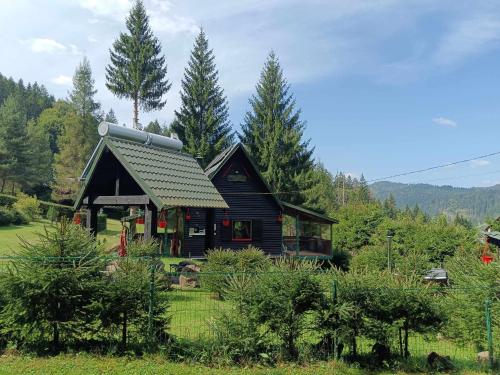 Schwarz Kabin — Poiana Vadului — photo 5