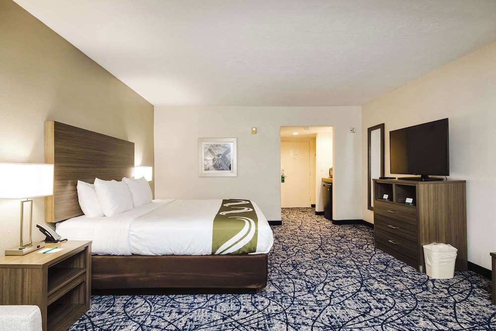 Quality Suites Houston Hobby Airport - photo 13