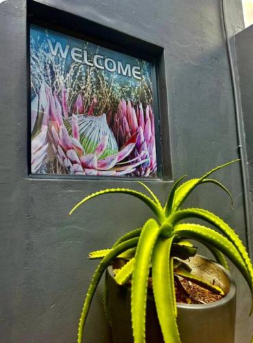 The Midlands Protea in Howick, South Africa