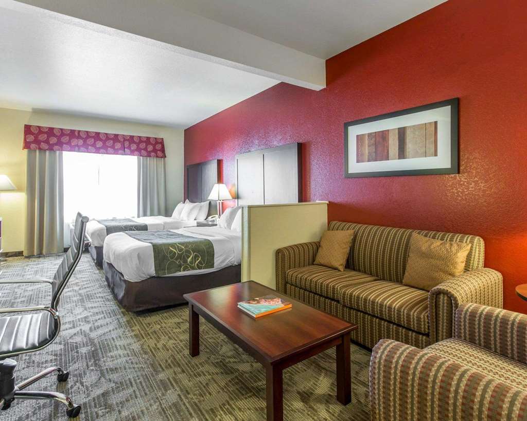 Comfort Suites Palm Desert I 10 - photo 19