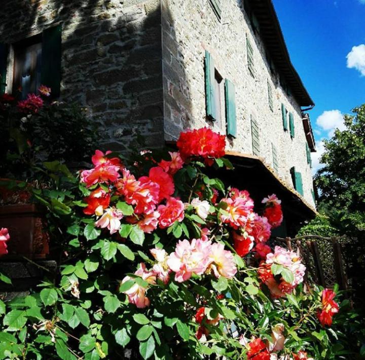 Podere I Rovai Apt Il Rifugio in the Heart of Tuscany — 4-Star Luxury Hotel in Reggello, Italy