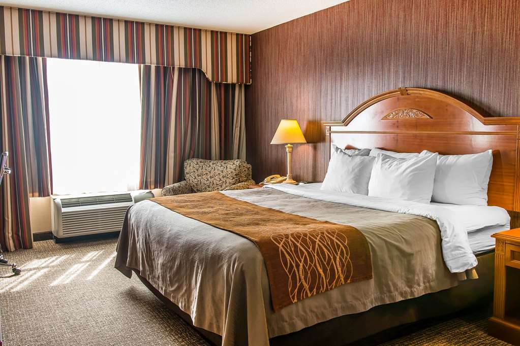Comfort Inn Chelsea MI - photo 21