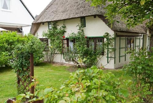 BSW Ferienwohungen Wyk auf Föhr — 4-Star Luxury Hotel in Wyk Auf Foehr, Germany
