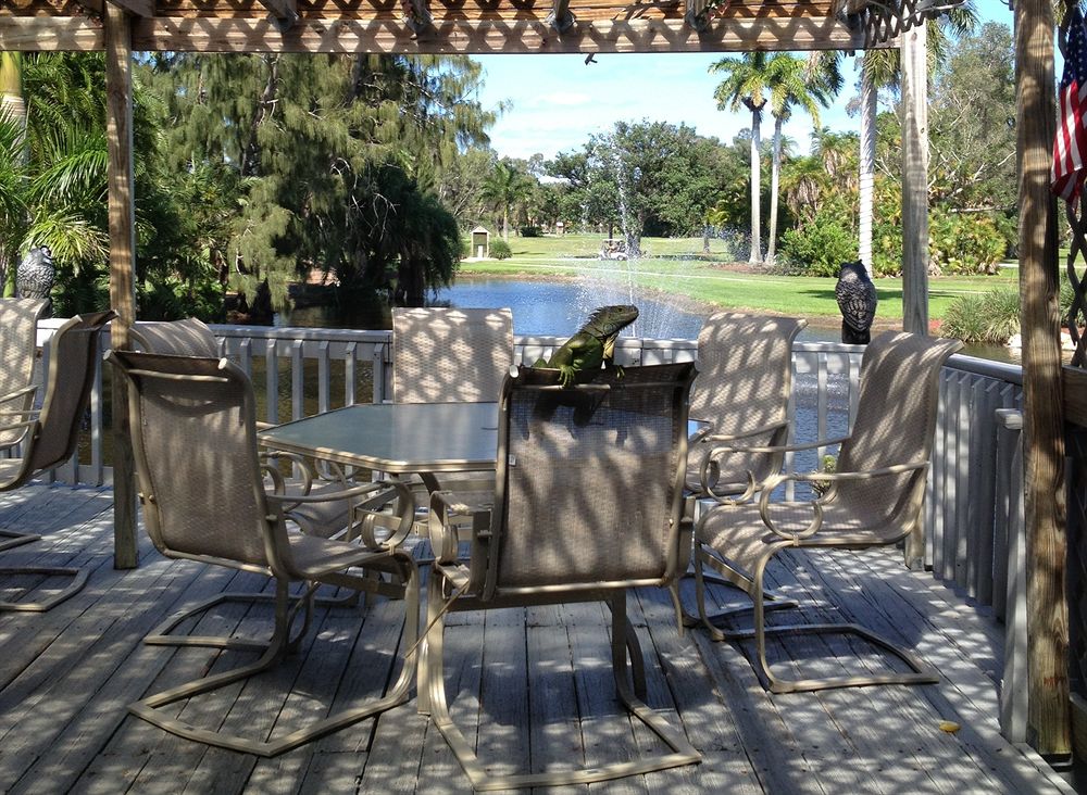 Hollywood Beach Golf Resort - photo 28