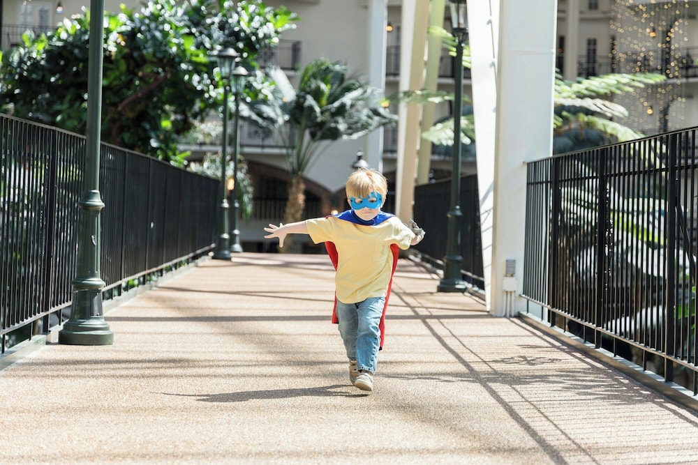Gaylord Palms Resort & Convention Center - photo 60