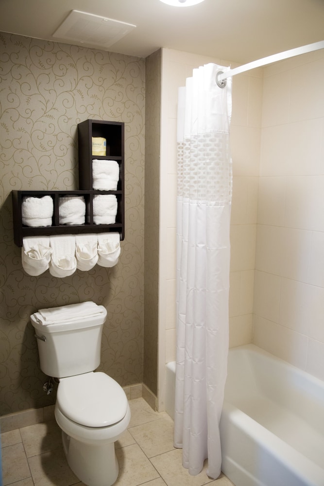 Hampton Inn & Suites Baton Rouge Downtown - photo 28
