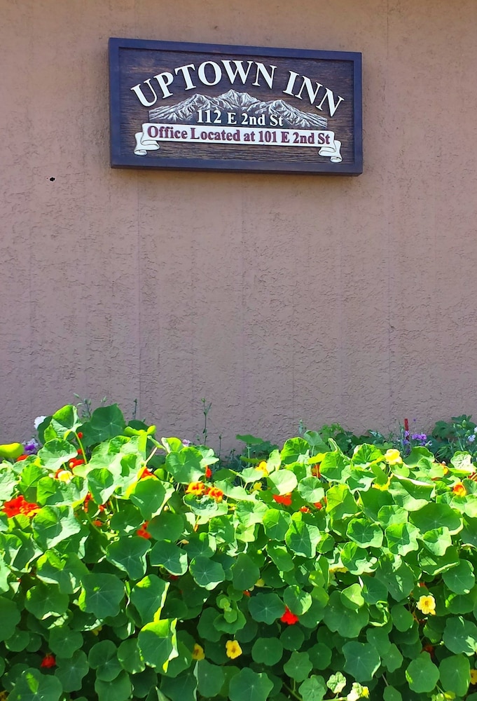 Uptown Inn - photo 45