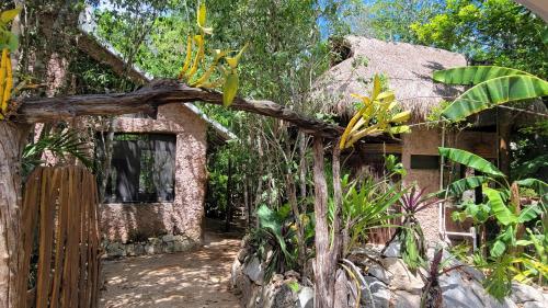 Casa & Palapa de la Selva — 4-Star Luxury Hotel in Playa Del Carmen, Mexico