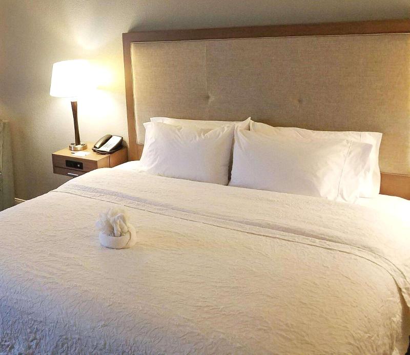 Hampton Inn Philadelphia International Airport - photo 16