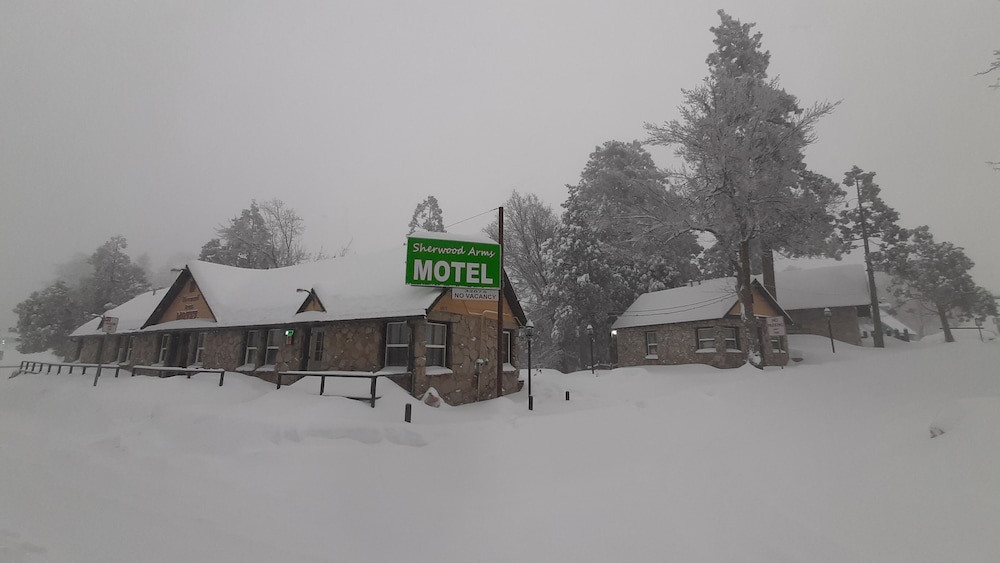 Sherwood Arms Motel - photo 64