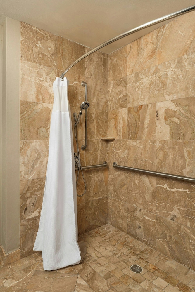 SpringHill Suites by Marriott Tampa Westshore Airport - photo 18