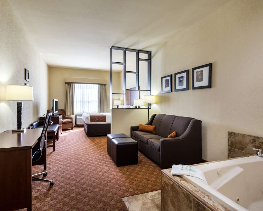 Comfort Suites near NASA Clear Lake - photo 11