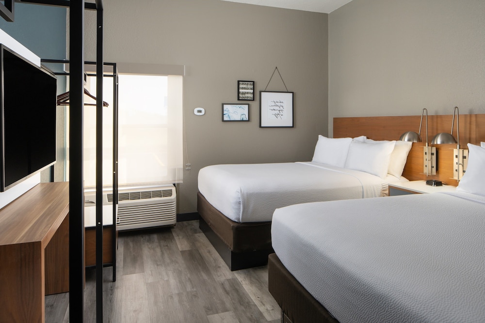 Four Points by Sheraton Alexandria - photo 13