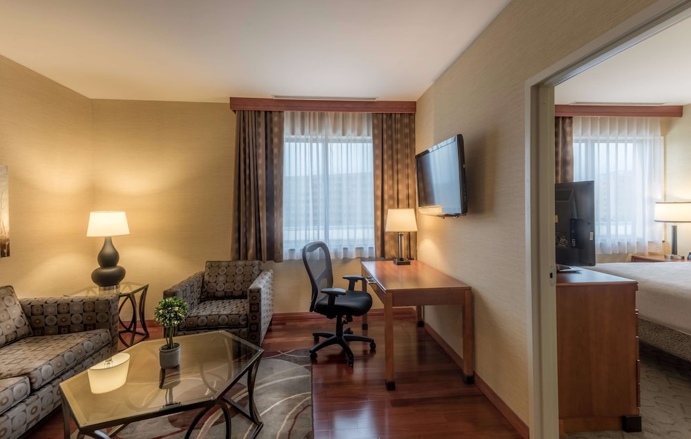 Hilton Garden Inn Reagan National Airport - photo 15