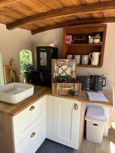 Hideaway carriage — Coltishall — photo 5