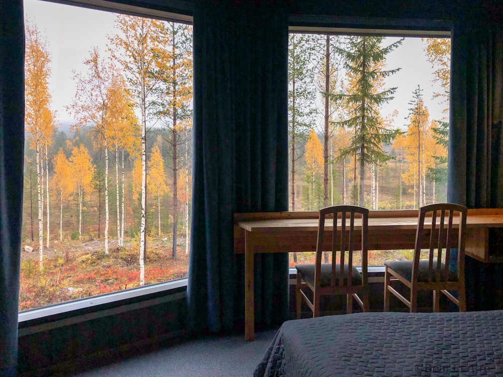 Bear Centre — Kuhmo — photo 5