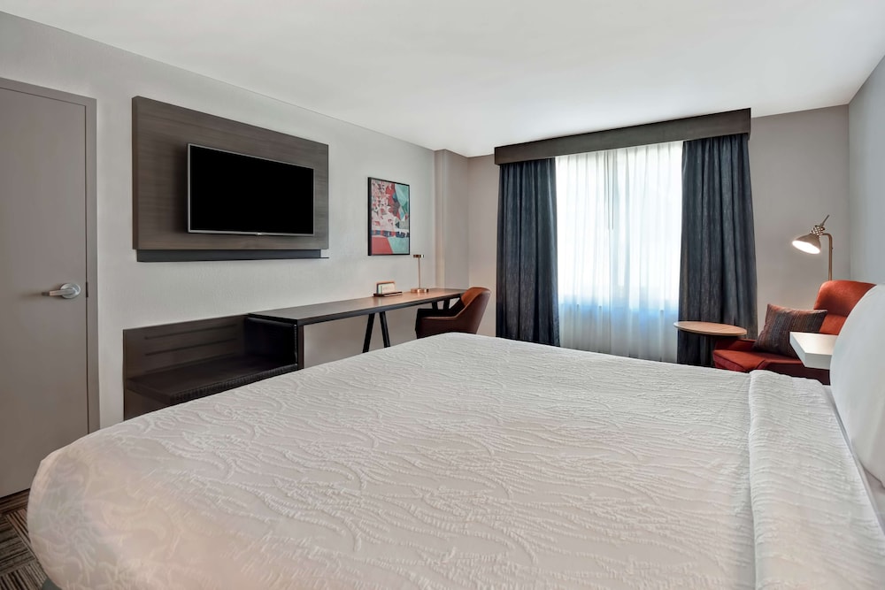 Hilton Garden Inn Houston Galleria Area - photo 11
