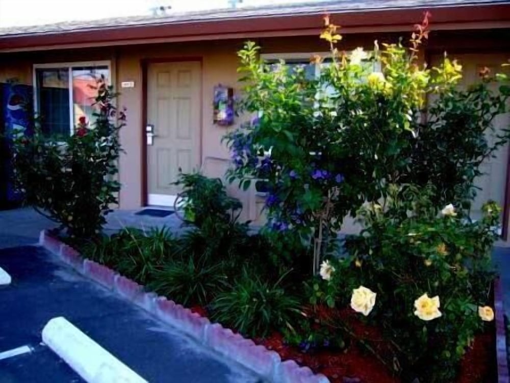 Maple Inn & Suites - photo 35