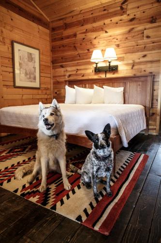 Chama Trails Motel — Chama — photo 5